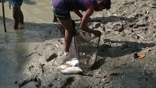 Flying Fish Picked Off From Above And Below | The Hunt | BBC Earth AroundMeBD Village