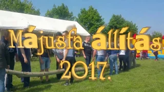 Csőszi Majális 2017.   -Májusfa állítás-