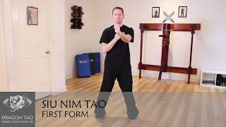 Siu Nim Tao (Sil Lim Tao) form - Wing Chun Kung Fu - Performed by Scott Smith of Dragon Tao Kung Fu