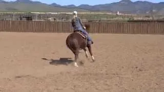 Anna Slaughter Reining Highlights