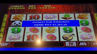 Wild Panda Given out another Jackpot