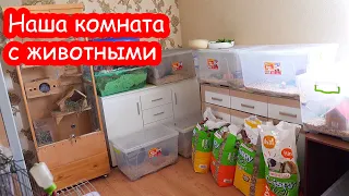 VLOG Наша комната с животными