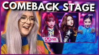 SN STAN Reacts to SECRET NUMBER - Got That Boom | Comeback Stage M COUNTDOWN | Hallyu Doing
