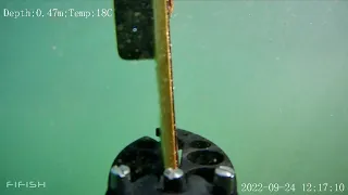 Waste extraction with FIFISH V6 expert and robotic arm