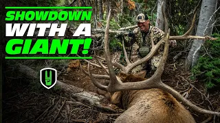 BOW & ARROW SHOWDOWN WITH GIANT BULL ELK!