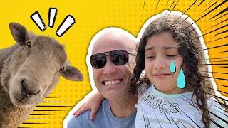 Brincando com os Bichinhos na Fazenda | Rancho VS&S