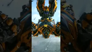 Bumblebee's Superpower