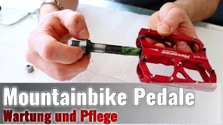 Pedale am Mountainbike - Wartung und Pflege | Tutorial #2