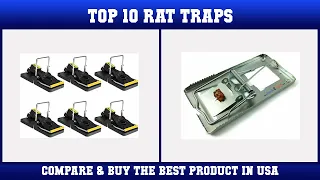 Top 10 Rat Traps to buy in USA 2021 | Price & Review