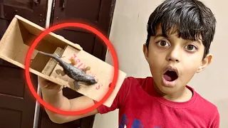 Full day Chipkali BoX prank 😂 | Yaatri