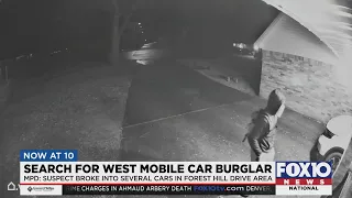 Burglar caught on camera in Mobile