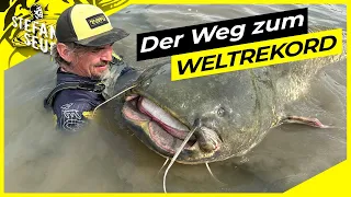 Der WEG zum WELTREKORD WELS !! | 25 Jahre jage ich diesen Fisch !!