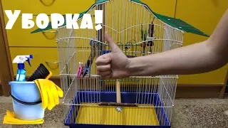 УБОРКА КЛЕТКИ ПОПУГАЯ | PetMania