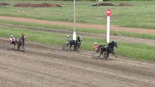 9 Раменский ипподром 28.05.2022 - Лошади рожд. 2019 г. орловской породы