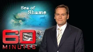 Sea of shame (2008) - Plastic bags are choking our oceans  | 60 Minutes Australia