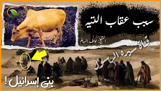 احداث تيه بني اسرائيل | عجائب قصص بني اسرائيل التي ذكرت القران الكريم! (قصص الانبياء)