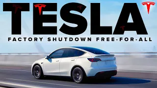 Tesla Shuts Down Production In Fremont | We Can’t Wait!