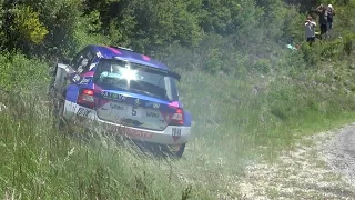 Rallye du Laragnais 2023 - Crash and Mistakes