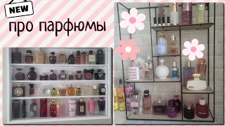 про парфюмы | 🌸май 2024 🌸| что ношу сейчас #парфюмерия