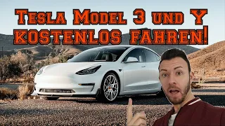 Tesla Model Y und 3 kostenlos fahren und mit Gewinn nach Dänemark / Skandinavien verkaufen?