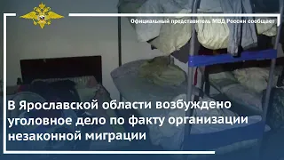 Ирина Волк: В Ярославской области возбуждено уголовное дело по факту организации незаконной миграции