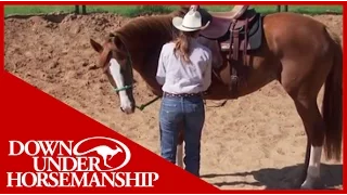 Clinton Anderson: More Horse Than Handle, Part 2 - Downunder Horsemanship