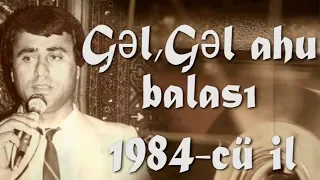 Tagi Salahoglu 🎤➤ Gel, gel ahu balasi, derdlerimin charesi (1984)