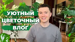 Большой разговор о комнатных растениях » Идеальный грунт, удобрения, освещение