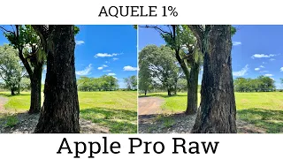 Apple Pro Raw on iPhone 12 Pro Max - What Did I Find? expectation vs reality