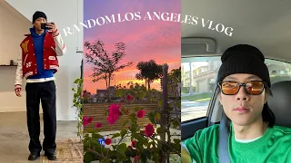 random los angeles shopping vlog (Palace X Y3, Stussy, Dries Van Noten, pickups, etc.)