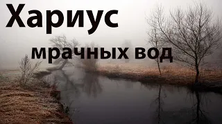 Забытые реки #11 Хариус в ноябре.