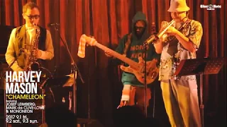 MONONEON with HARVEY MASON 'CHAMELEON' at BLUE NOTE TOKYO 2017