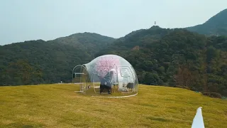 MiicoFun Polycarbonate Transparent Dome Bubble Tents