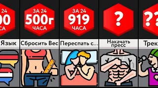 Чего Можно Достичь За 24 Часа?