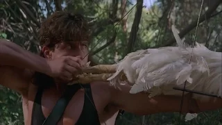 Hot Shots 2: Chicken Arrow