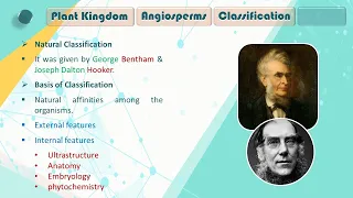 Std. 11sc | Biology | Ch 3 |  Plant Kingdom  | Part 1 | Classification of Angiosperm