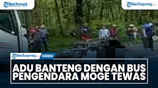 KECELAKAAN MAUT. Adu Banteng Dengan Bus, Pengendara Moge Tewas di Situbondo