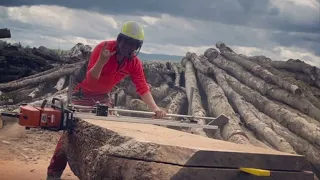 Große Esche mit Anbausägewerk aufsägen