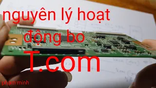 phân tích sơ đồ khối bo T.com tivi