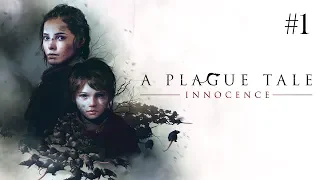 A fekete halál!? | A Plague Tale: Innocence (PC) - 05.14.