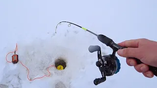 ПРОГЛОТИЛА ЦЕЛИКОМ НОВУЮ ПРИМАНКУ! Рыбалка на щуку и судака! Зимняя рыбалка 2023! Ловля на вибы!