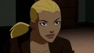 Young Justice || the Nights