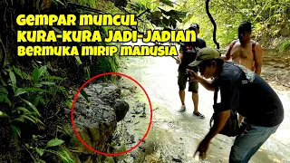 gempar di bulan puasa! muncul kura-kura jadi-jadian bermuka mirip manusia