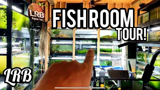 Year 1 Fish Room Tour Spring 2023