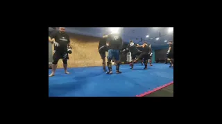 Low Kick in Krav Maga