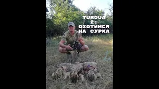 Охота на сурка с карабином TURQUA 2.