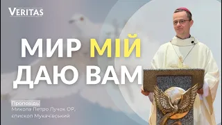 Мир Мій даю вам.. Проповідь: Микола Петро Лучок ОР, єпископ Мукачівський