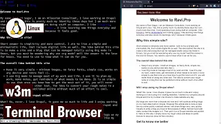 w3m is a good terminal browser