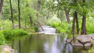 Волшебные камни Богуслава. Место силы.