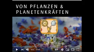 Von Pflanzen & Planetenkräften -  Sonne und Mond (Auswahl) | Christoph Pollak